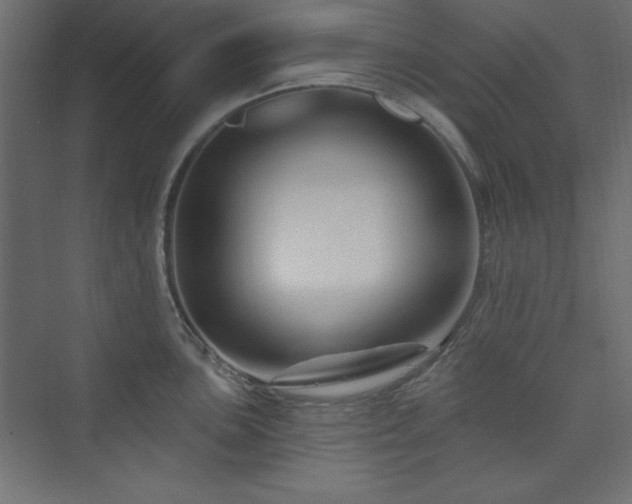 X0000073991051200608211343