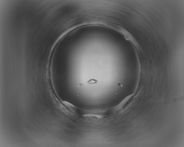 X0000073991052200608211343