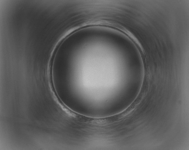 X0000073991053200608211343