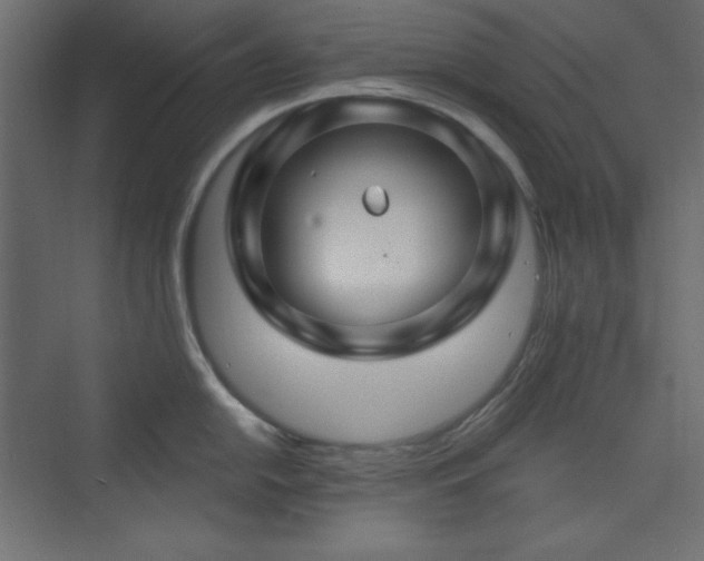 X0000073991054200608211343