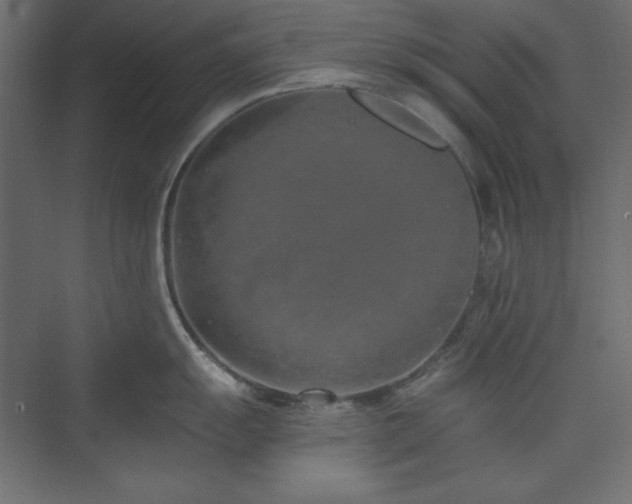 X0000073991055200608211343