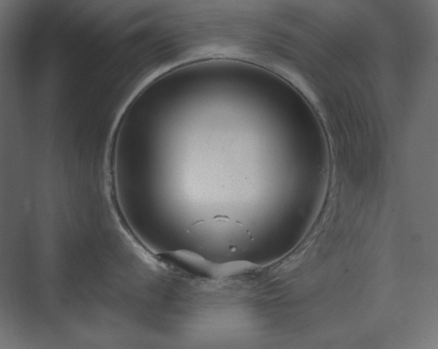 X0000073991056200608211343