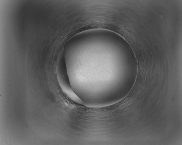 X0000073991057200608211342