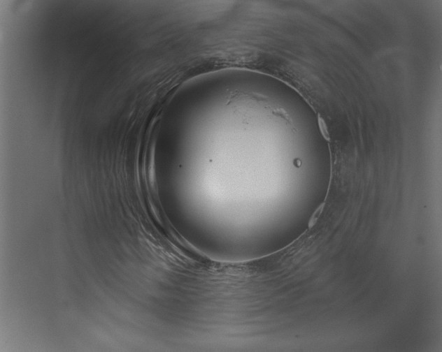 X0000073991058200608211342