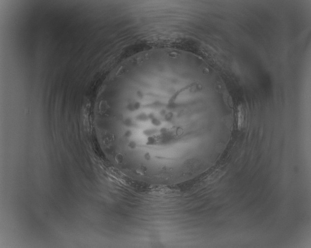 X0000073991059200608211342