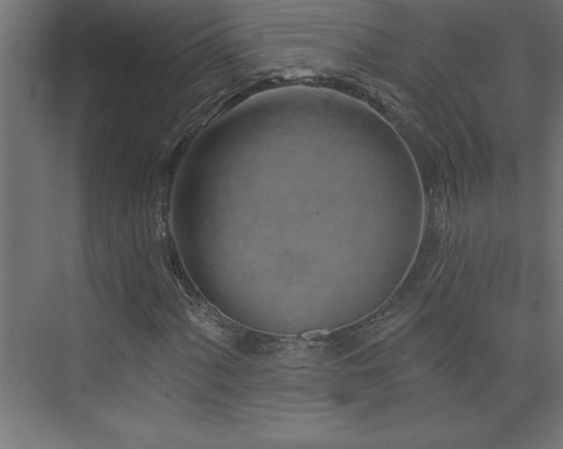 X0000073991060200608211342