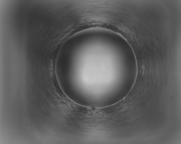 X0000073991061200608211342