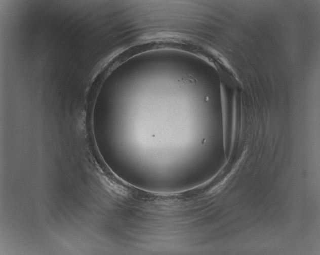 X0000073991066200608211342