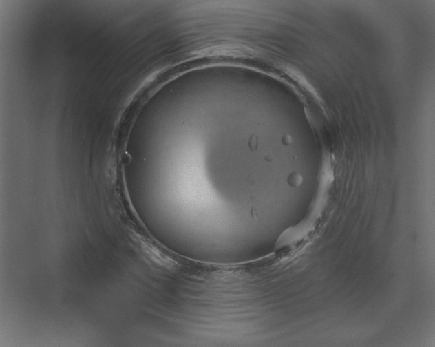 X0000073991067200608211342