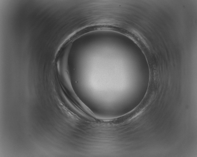 X0000073991069200608211342