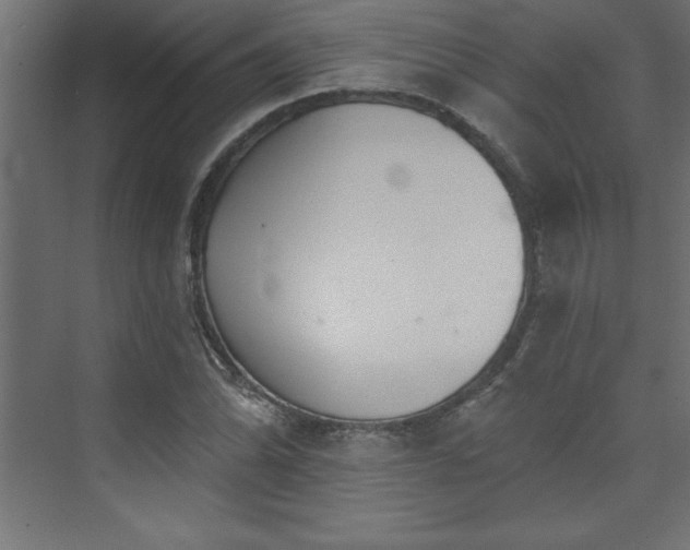 X0000073991070200608211342