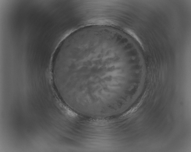 X0000073991071200608211342