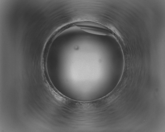 X0000073991072200608211342