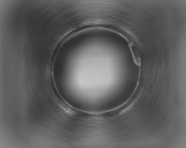 X0000073991073200608211342