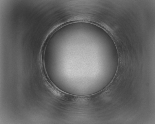 X0000073991078200608211342