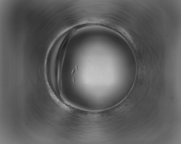 X0000073991080200608211342