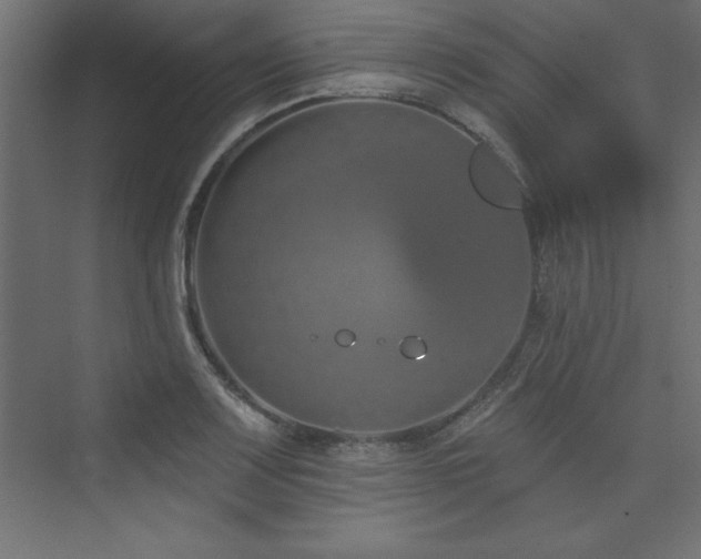 X0000073991083200608211342