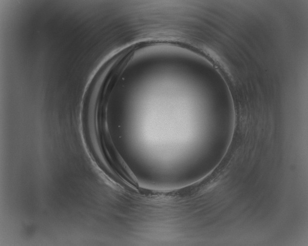 X0000073991085200608211342