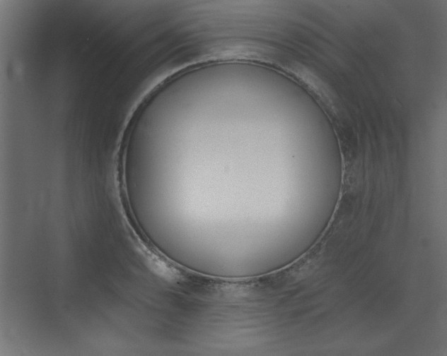 X0000073991086200608211342