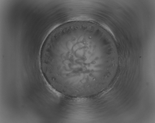 X0000073991087200608211342