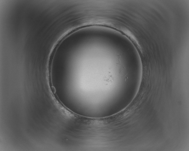 X0000073991088200608211342