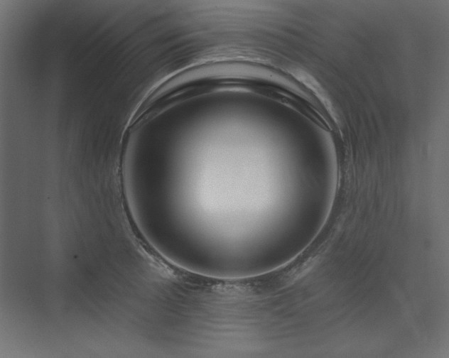 X0000073991089200608211342