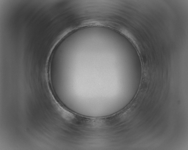 X0000073991090200608211342