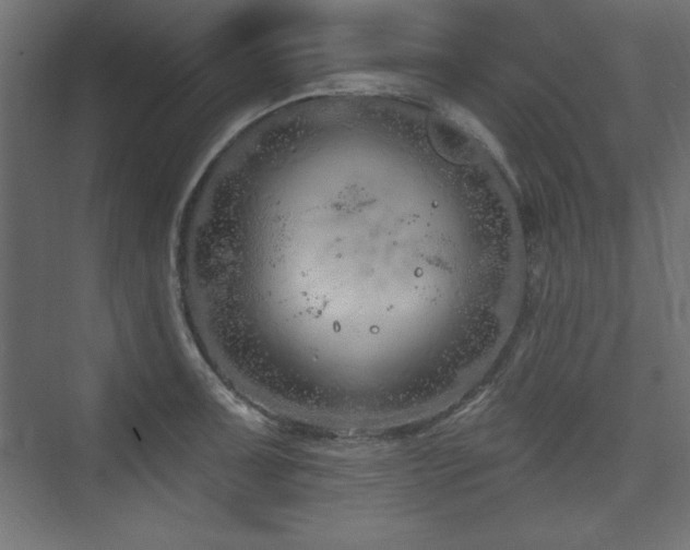 X0000073991091200608211341