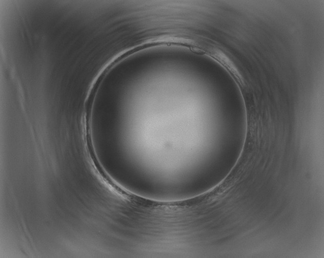 X0000073991092200608211341