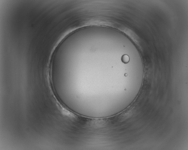 X0000073991094200608211341