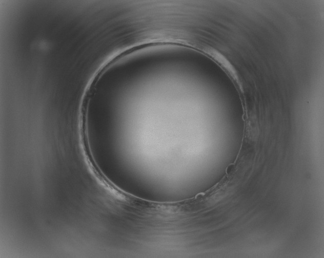 X0000073991096200608211341