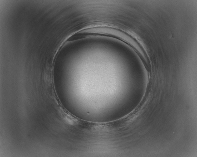 X0000073991097200608211341