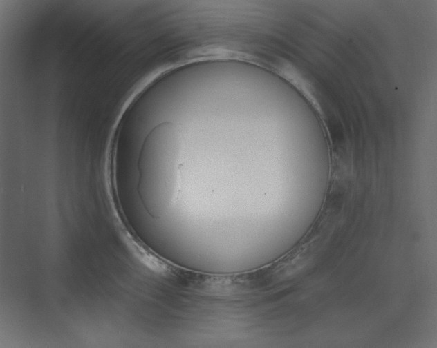 X0000073991098200608211341