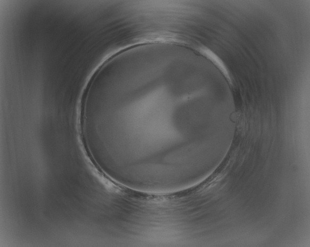 X0000073991099200608211341