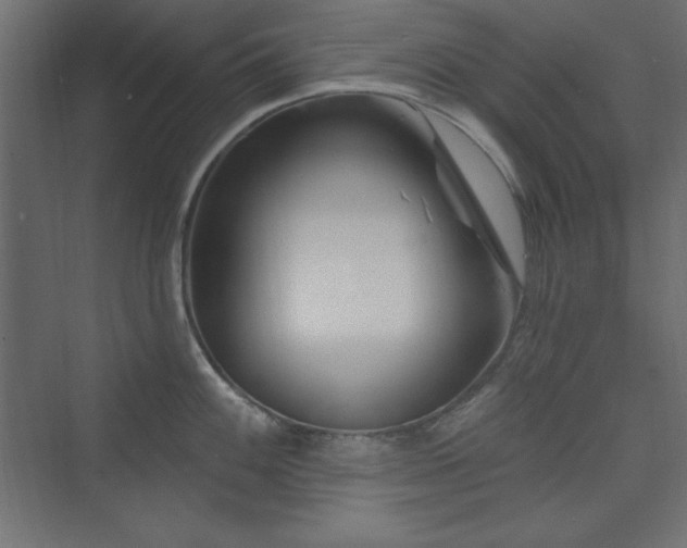 X0000073991100200608211341