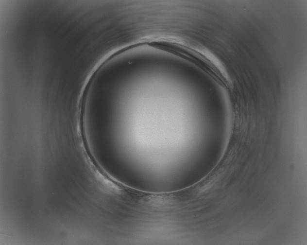 X0000073991102200608211341