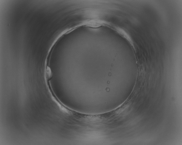 X0000073991103200608211341