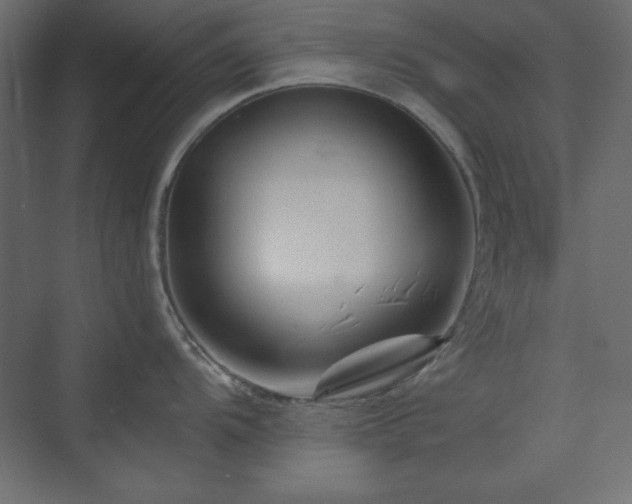 X0000073991104200608211341