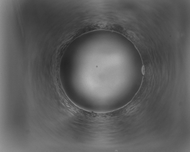 X0000073991105200608211340