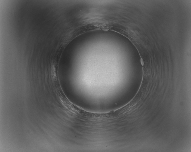 X0000073991106200608211340