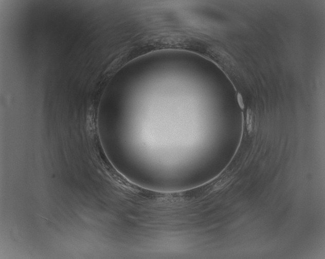 X0000073991107200608211340