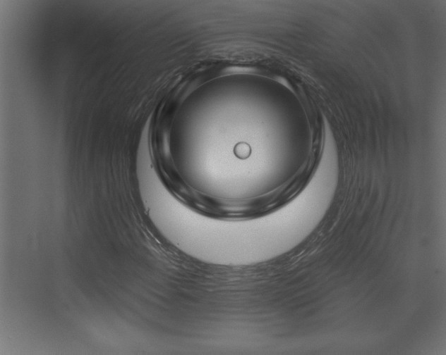 X0000073991108200608211341