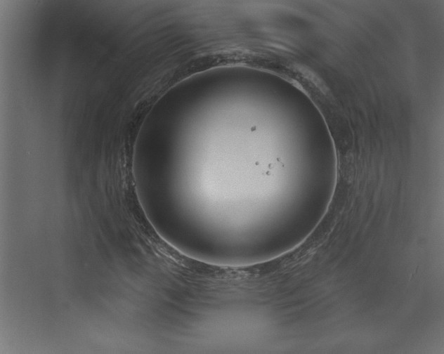 X0000073991111200608211341