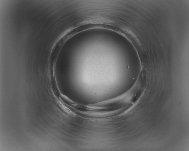 X0000073991114200608211341