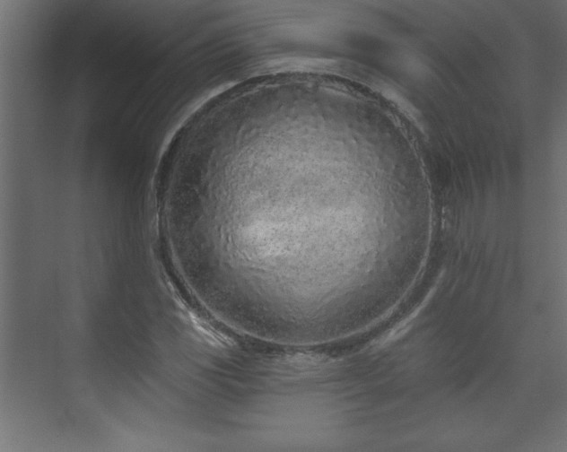 X0000073991117200608211341