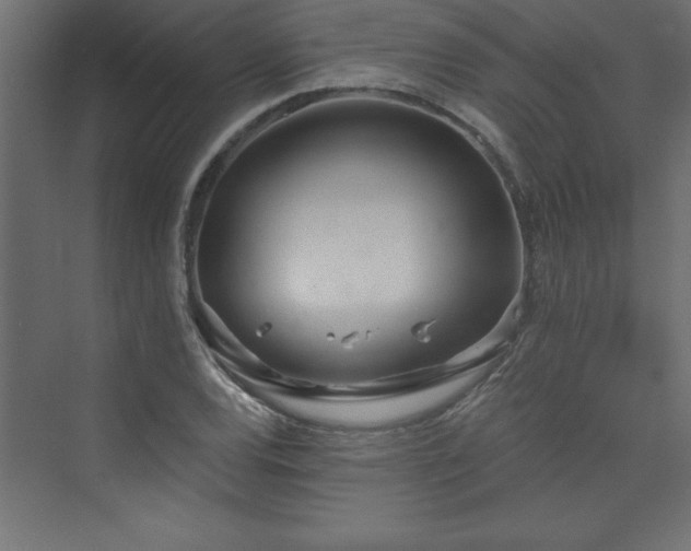 X0000073991120200608211341