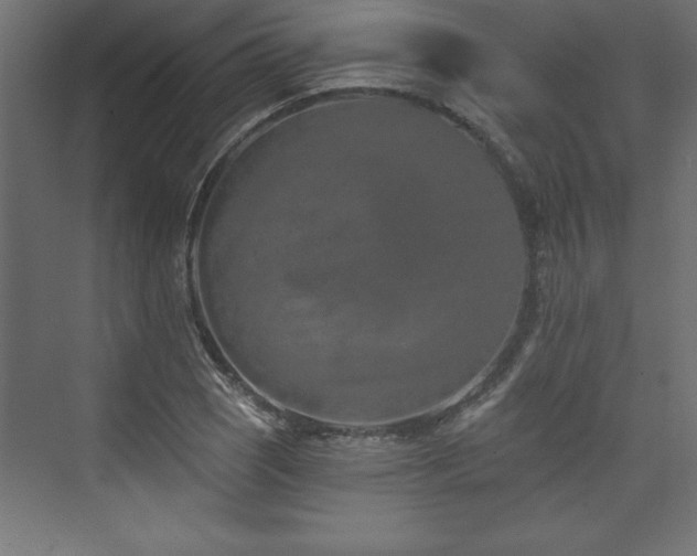 X0000073991121200608211341