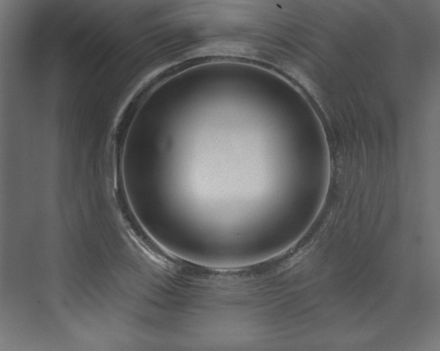 X0000073991123200608211341