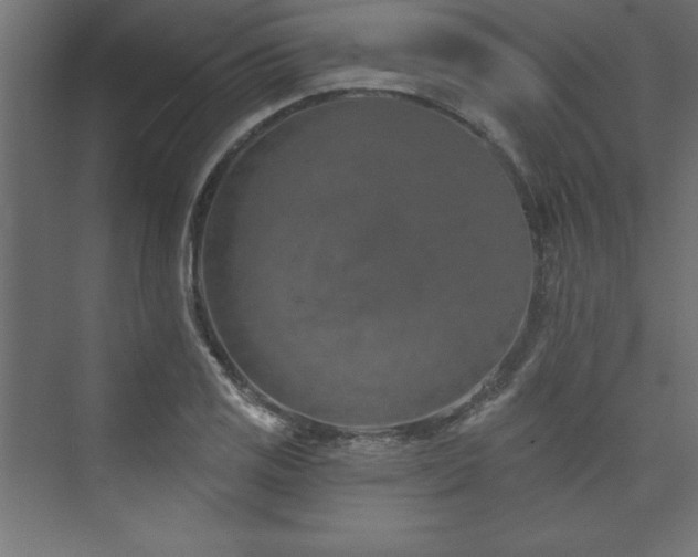 X0000073991125200608211341