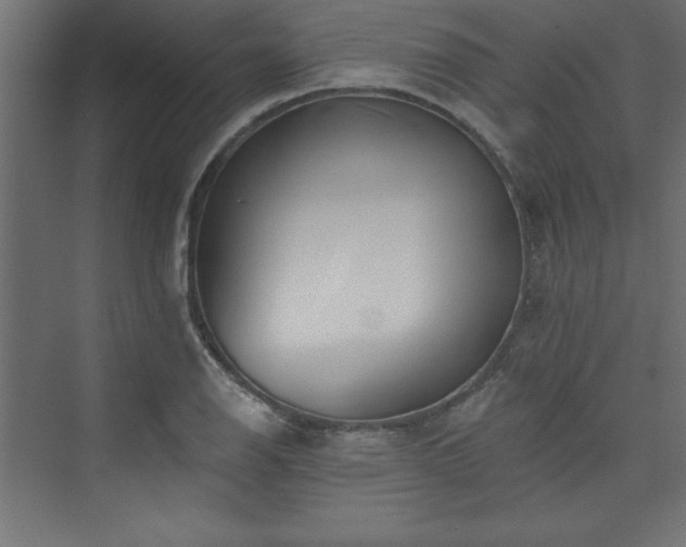 X0000073991126200608211341